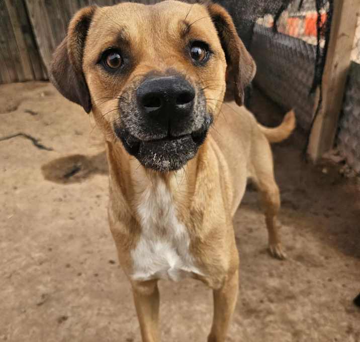 Photo of Harley