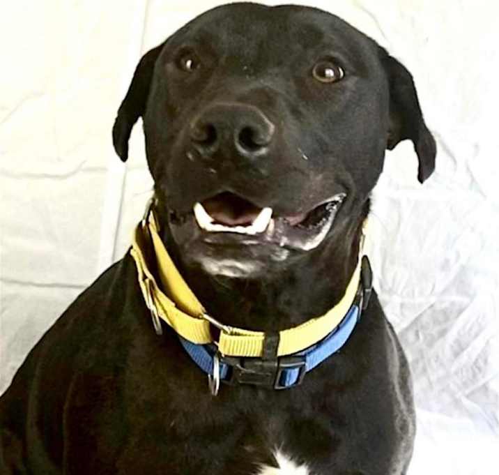 Photo of Chapo