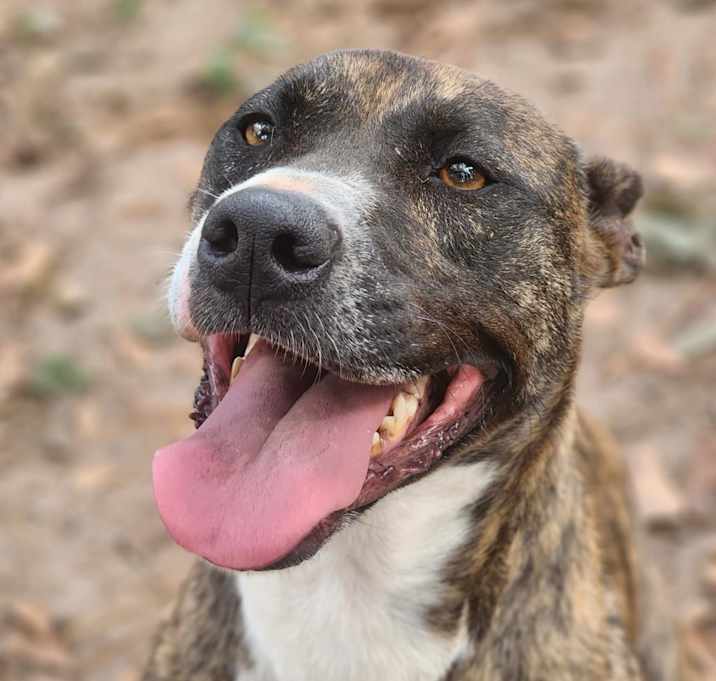 Photo of Meeka