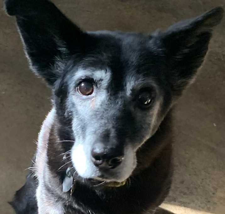 Photo of Elsa