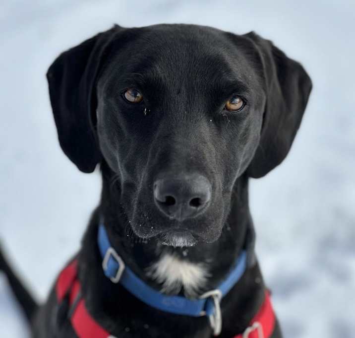 Photo of Finn