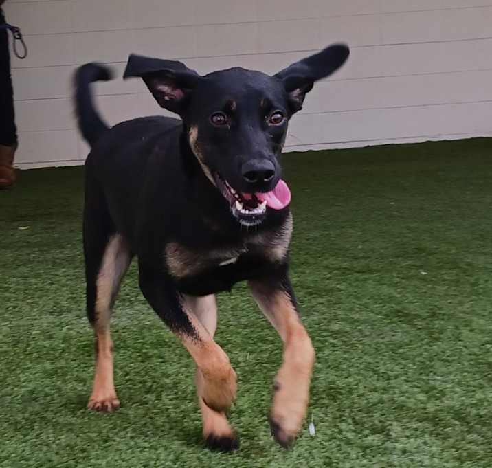 Photo of Maggie