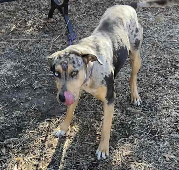 Photo of Oakley