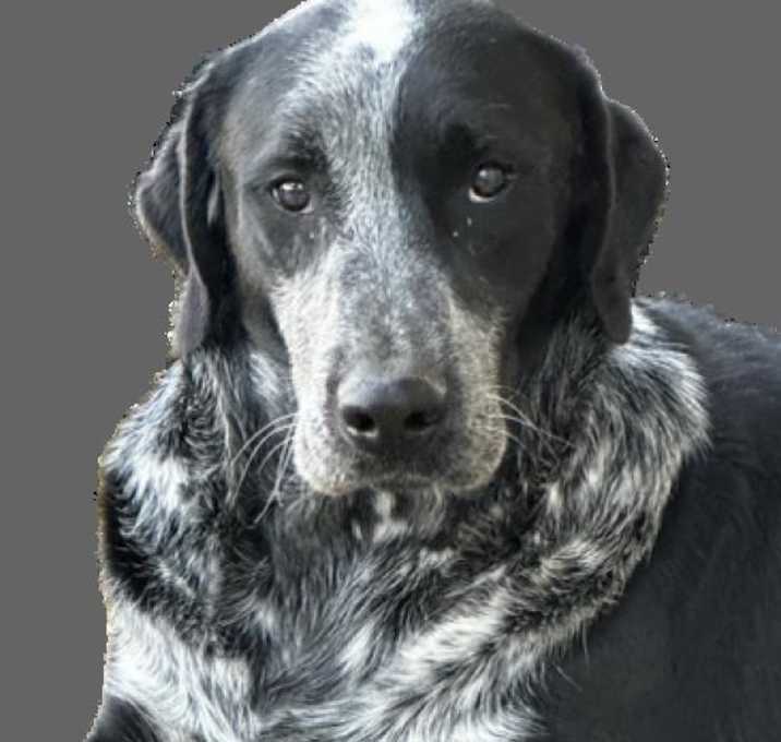 Photo of Schuyler