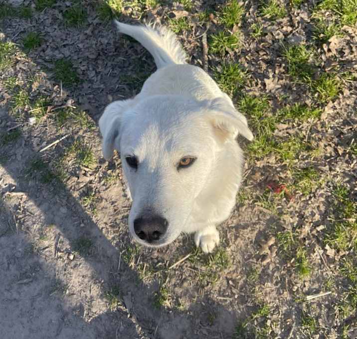 Photo of Bob