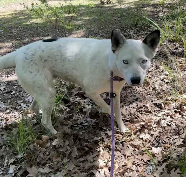 Photo of Myla