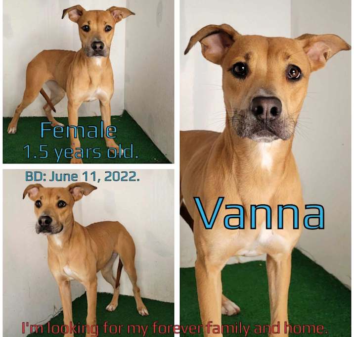 Photo of Vanna