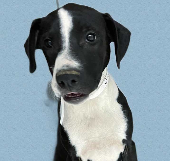 Photo of Gucci