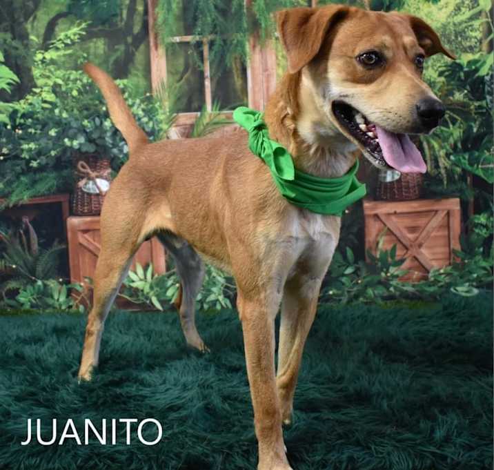 Photo of Juanito