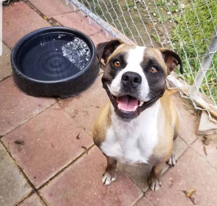 Photo of Mitzi