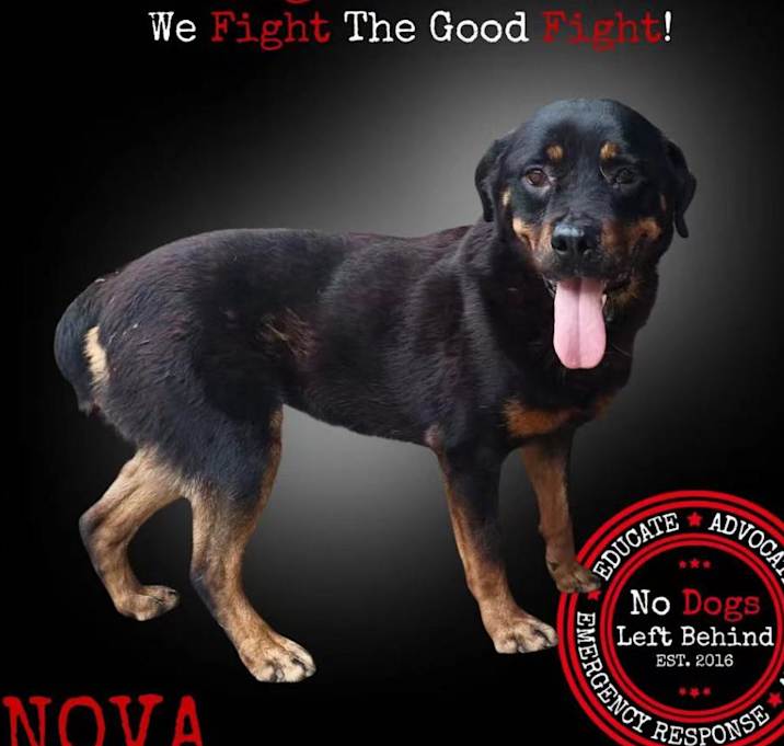 Photo of Nova8225