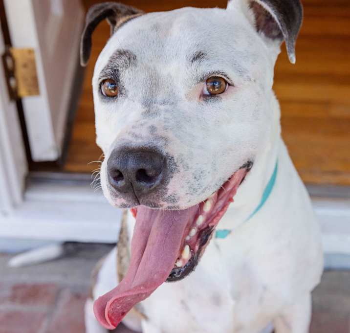 Photo of Rudy