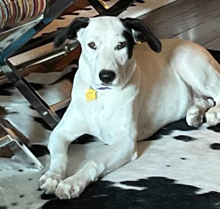 Photo of Lexie