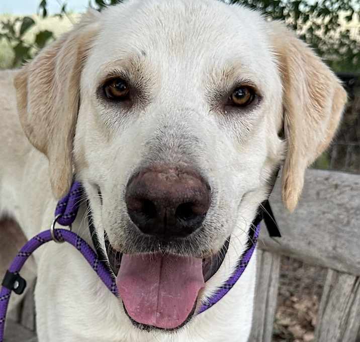 Photo of Tatum