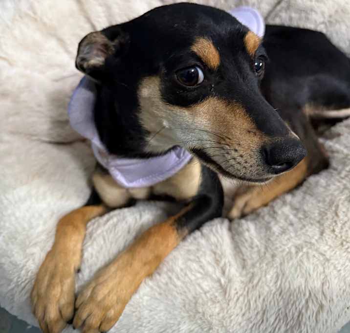 Photo of Selma