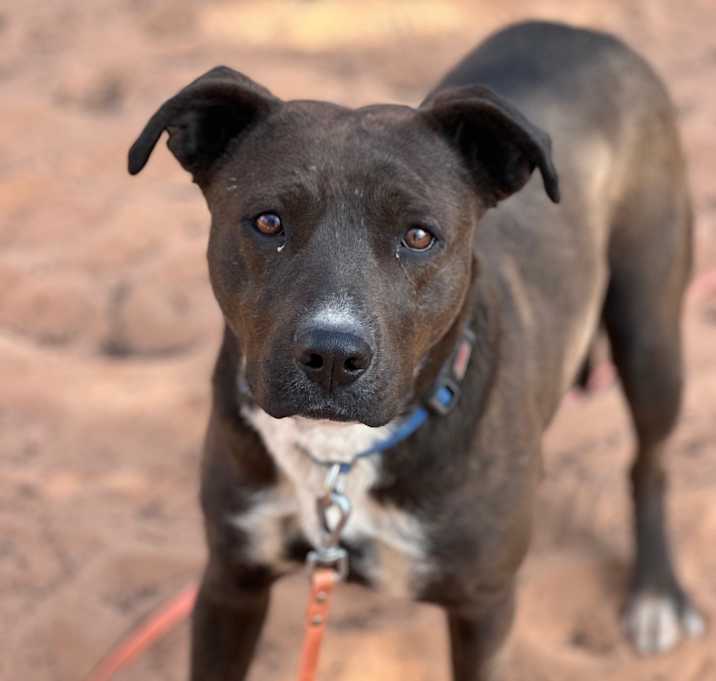 Photo of Rogue