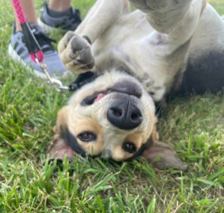 Photo of Walter