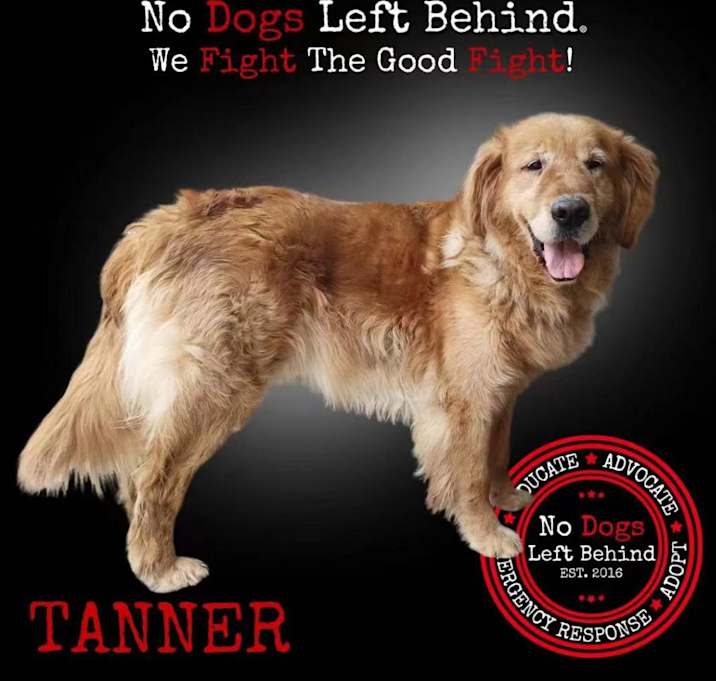 Photo of Tanner 9415 7038