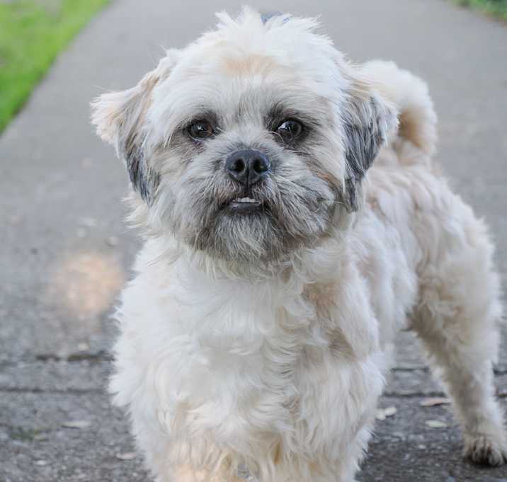 Photo of LUIGI