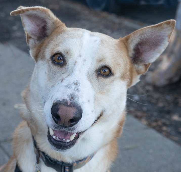 Photo of TUCK