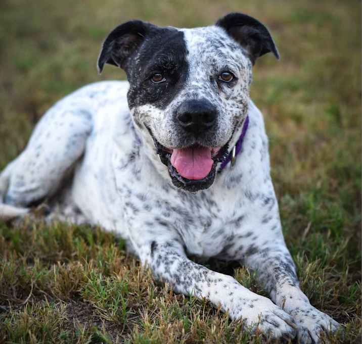 Photo of McDaddy JuM