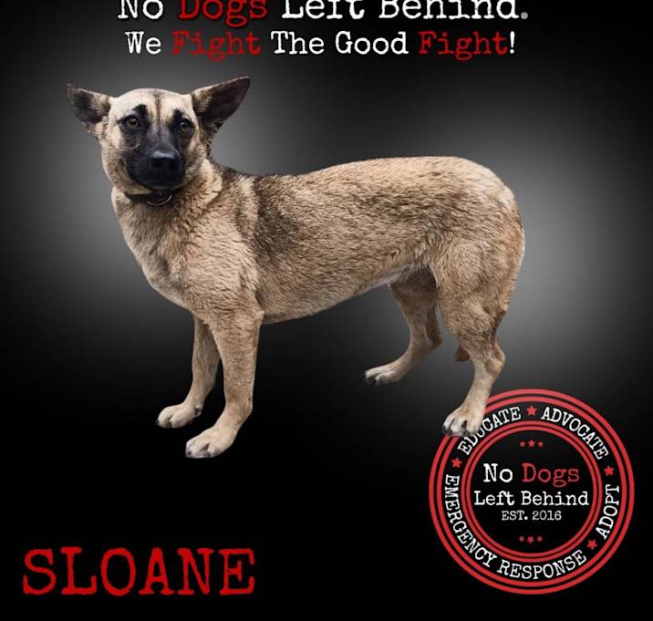Photo of Sloane 9892