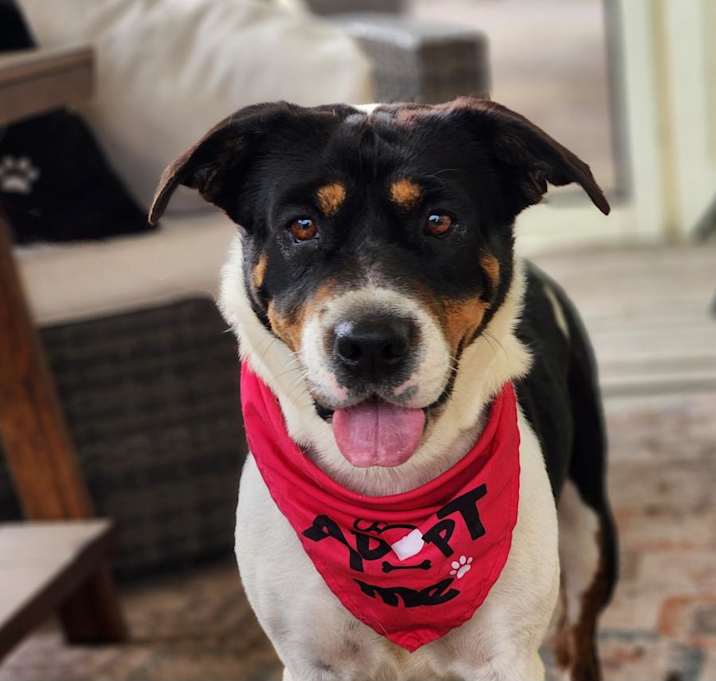 Photo of Miss Bea JuM