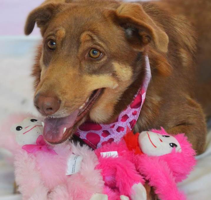 Photo of Penelope JR