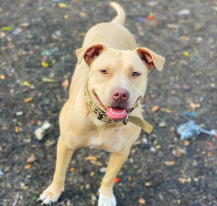 Photo of Nyla JC