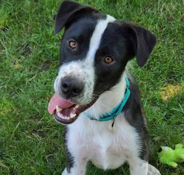 Photo of Finley