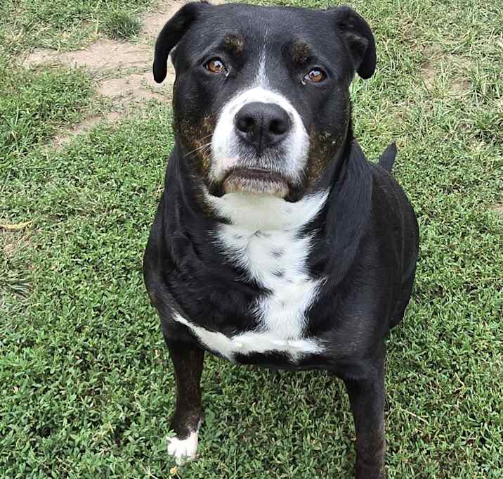 Photo of Timber Sue