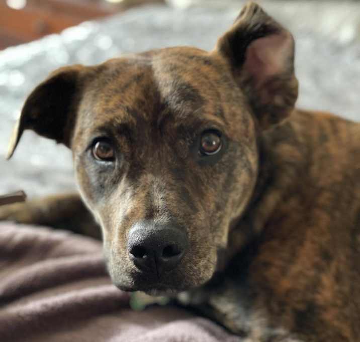 Photo of Jolene