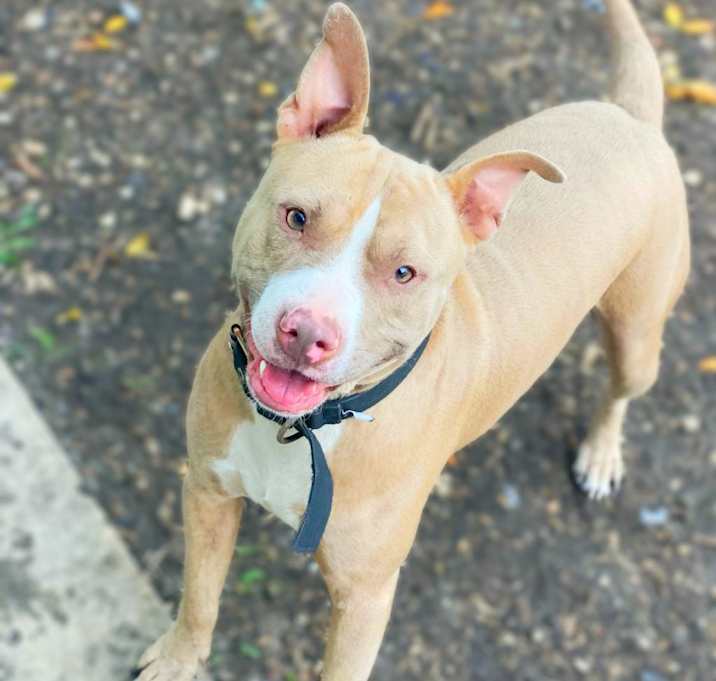 Photo of Odin JC