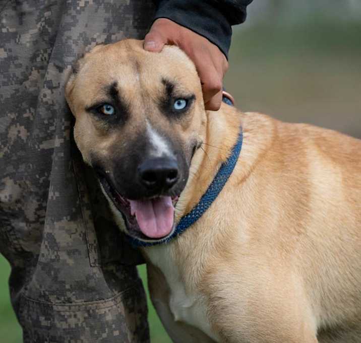Photo of Azul JuM