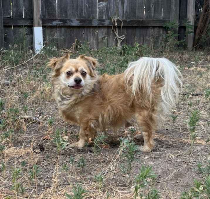 Photo of Tazz