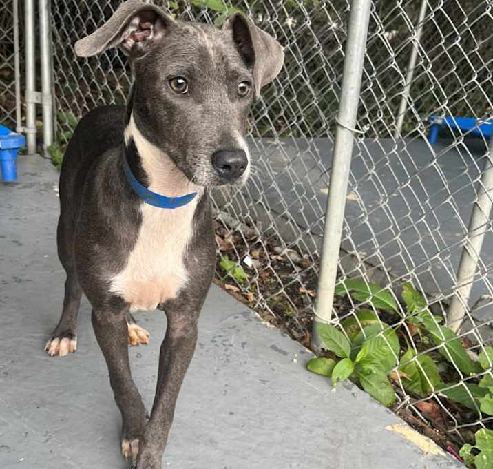 Photo of Aqua
