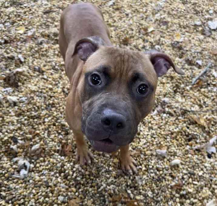 Photo of Hershey