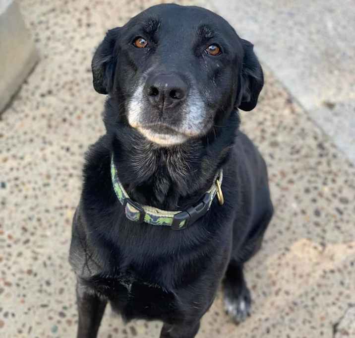 Photo of Jet