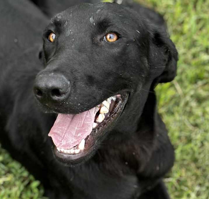Photo of Xavier