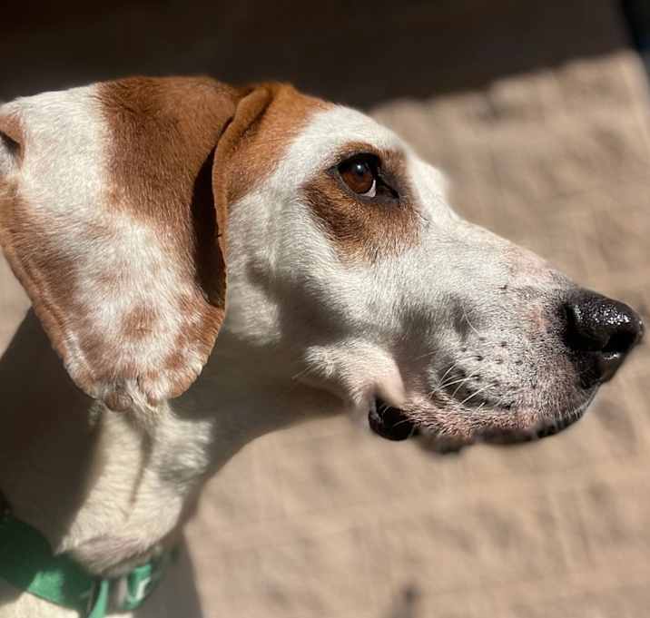 Photo of Della
