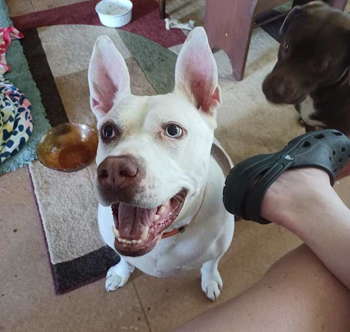 Photo of Capone