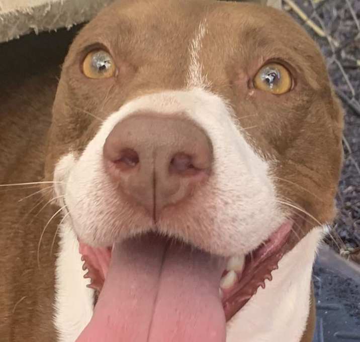 Photo of RUTHIE