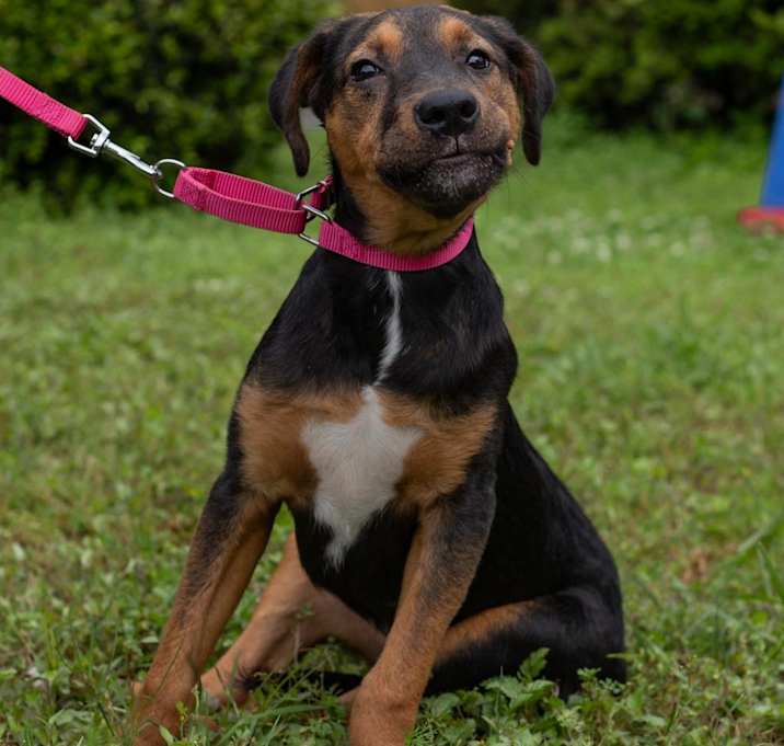 Photo of Leilani