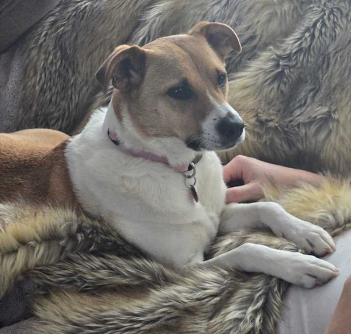 Photo of Soprano