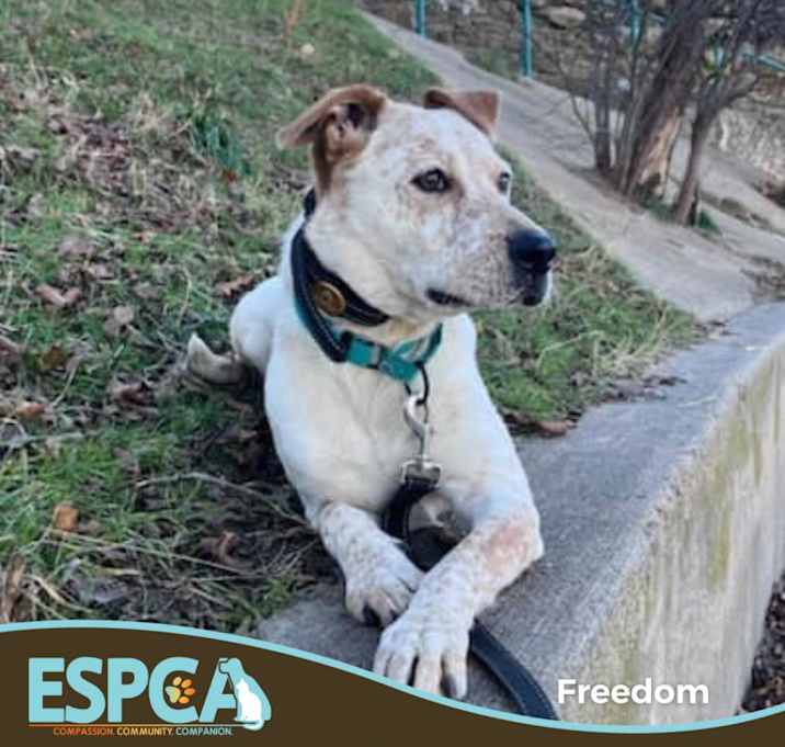 Photo of Freedom
