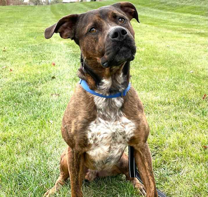 Photo of Odin