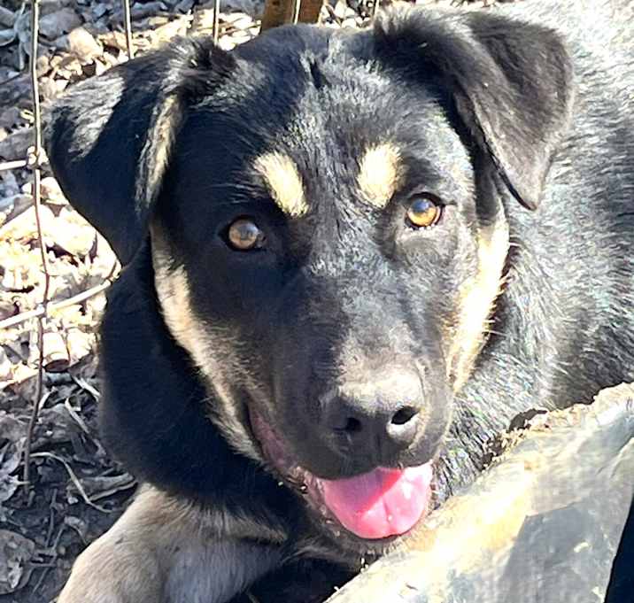 Photo of Carmelita