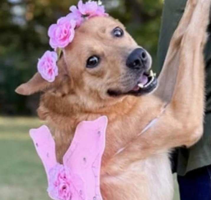 Photo of Kylee