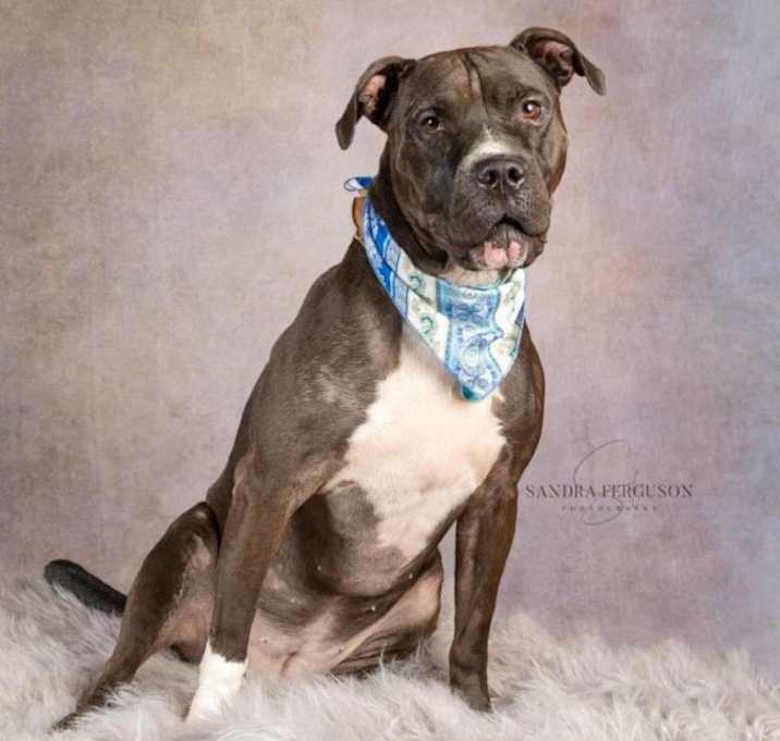 Photo of Juno