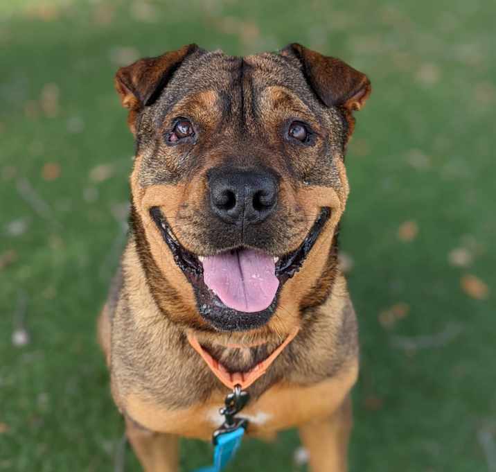 Photo of Fiona